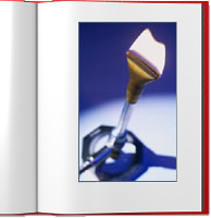 Bunsen burner
